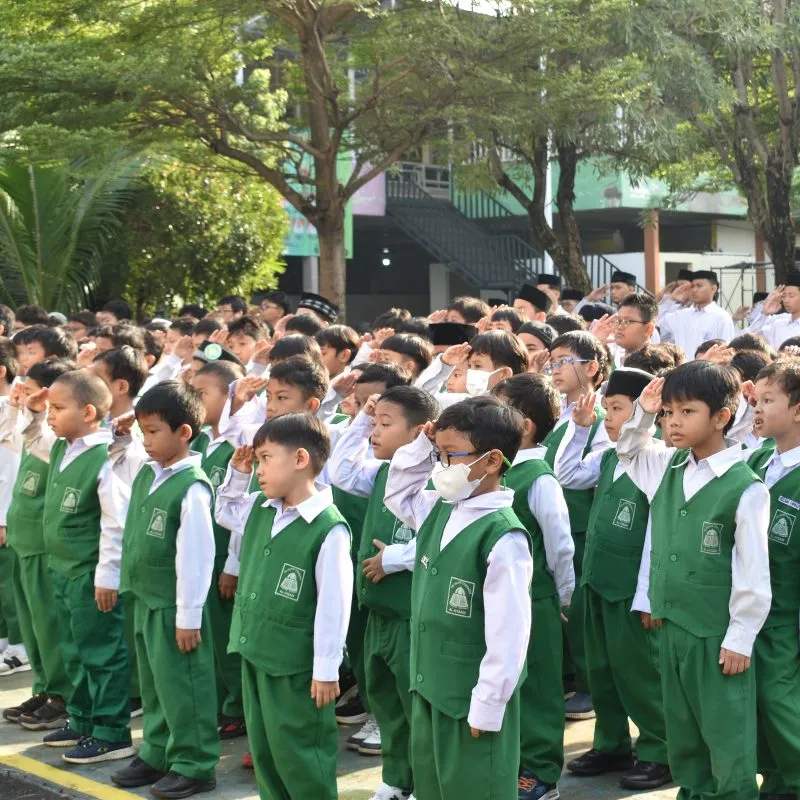 DSC 0044 800x800.jpg