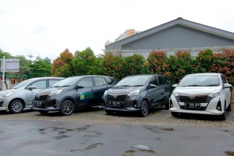 IMG 20240819 203701 800x534.jpg