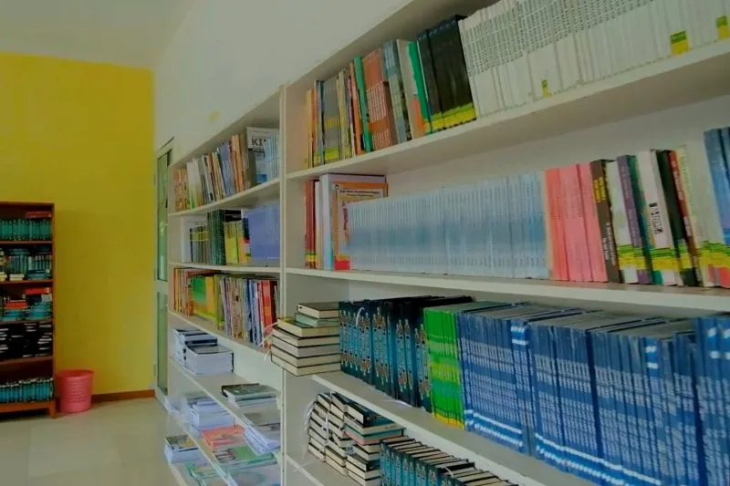 IMG 20240819 203905 800x533.jpg