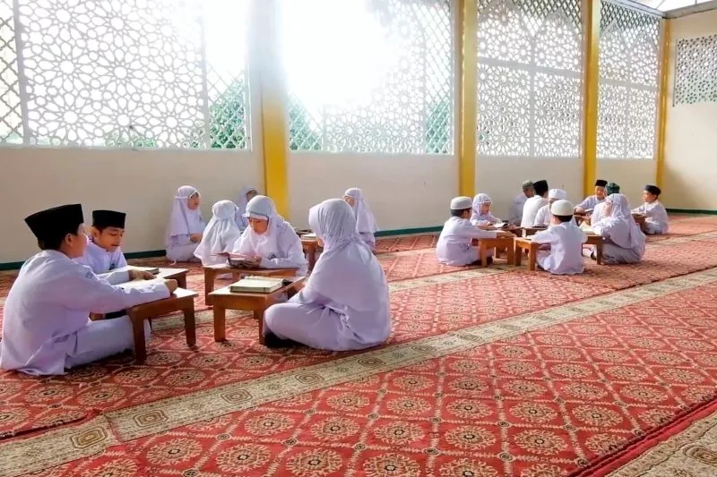 IMG 20240819 204133 800x533.jpg